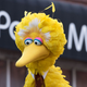 Illustration for article titled Innocent Sesame Street question somehow reveals which Muppets the internet wants to eat most